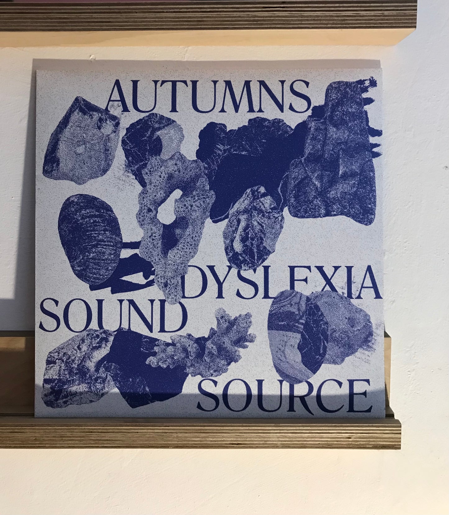 Autumns, ‘Dyslexia Sound Source’, Vinyl LP